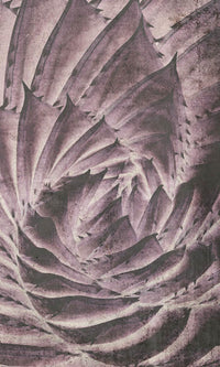 Dimex Cactus Abstract Fototapete 150x250cm 2 bahnen | Yourdecoration.de
