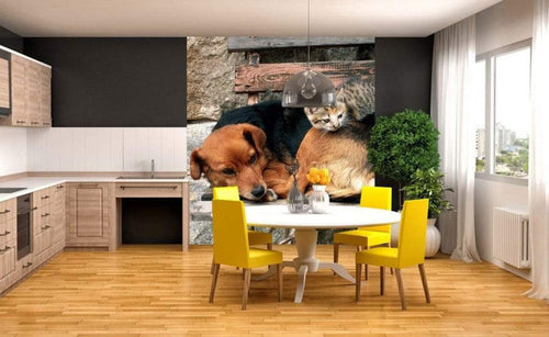 Dimex Cat and Dog Fototapete 225x250cm 3 Bahnen Sfeer | Yourdecoration.nl