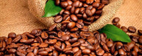 Dimex Coffee Beans Fototapete 375x150cm 5 Bahnen | Yourdecoration.de