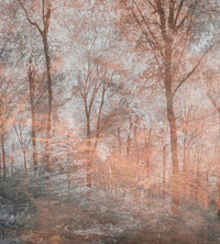 Dimex Colorful Forest Abstract Fototapete 225x250cm 3 bahnen | Yourdecoration.de