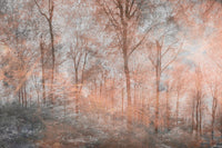 Dimex Colorful Forest Abstract Fototapete 375x250cm 5 bahnen | Yourdecoration.de