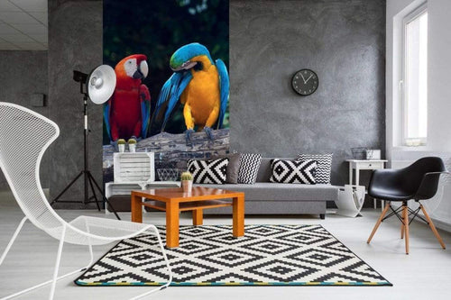 Dimex Colourful Macaw Fototapete 150x250cm 2 Bahnen Sfeer | Yourdecoration.nl