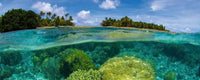 Dimex Coral Reef Fototapete 375x150cm 5 Bahnen | Yourdecoration.de