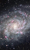 Dimex Galaxy Fototapete 150x250cm 2 Bahnen | Yourdecoration.de