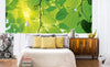 Dimex Green Leaves Fototapete 375x150cm 5 Bahnen Sfeer | Yourdecoration.nl