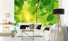Dimex Green Leaves Fototapete 375x250cm 5 Bahnen Sfeer | Yourdecoration.nl