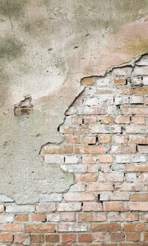 Dimex Grunge Wall Fototapete 150x250cm 2 Bahnen | Yourdecoration.de