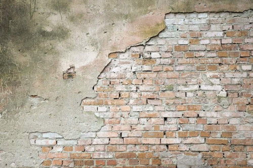 Dimex Grunge Wall Fototapete 375x250cm 5 Bahnen | Yourdecoration.de
