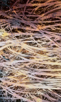 Dimex Hay Abstract I Fototapete 150x250cm 2 bahnen | Yourdecoration.de