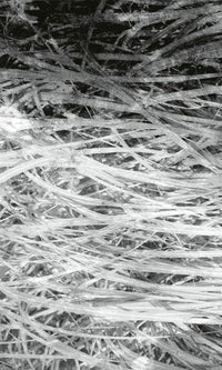 Dimex Hay Abstract II Fototapete 150x250cm 2 bahnen | Yourdecoration.de