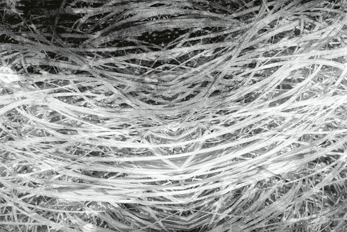 Dimex Hay Abstract II Fototapete 375x250cm 5 bahnen | Yourdecoration.de
