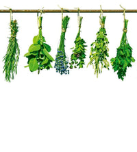 Dimex Herbs Fototapete 225x250cm 3 Bahnen | Yourdecoration.de