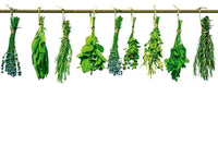 Dimex Herbs Fototapete 375x250cm 5 Bahnen | Yourdecoration.de