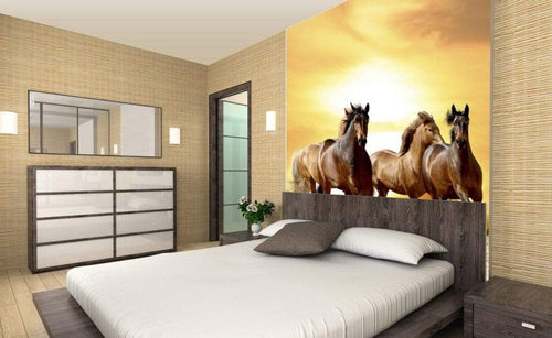Dimex Horses in Sunset Fototapete 225x250cm 3 Bahnen Sfeer | Yourdecoration.nl