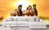 Dimex Horses in Sunset Fototapete 375x250cm 5 Bahnen Sfeer | Yourdecoration.nl