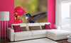 Dimex Hummingbird Fototapete 225x250cm 3 Bahnen Sfeer | Yourdecoration.nl