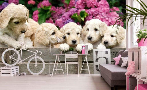 Dimex Labrador Puppies Fototapete 375x250cm 5 Bahnen Sfeer | Yourdecoration.nl