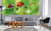 Dimex Ladybird Fototapete 375x150cm 5 Bahnen Sfeer | Yourdecoration.nl