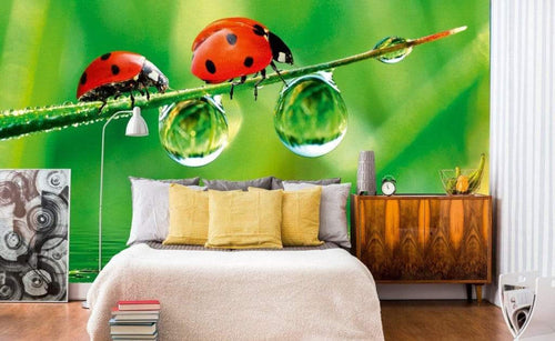 Dimex Ladybird Fototapete 375x250cm 5 Bahnen Sfeer | Yourdecoration.nl