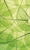 Dimex Leaf Veins Fototapete 150x250cm 2 Bahnen | Yourdecoration.de