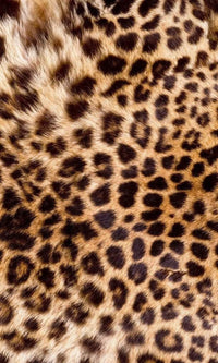 Dimex Leopard Skin Fototapete 150x250cm 2 Bahnen | Yourdecoration.de