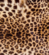 Dimex Leopard Skin Fototapete 225x250cm 3 Bahnen | Yourdecoration.de