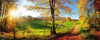 Dimex Meadow Fototapete 375x150cm 5 Bahnen | Yourdecoration.de