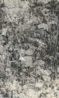 Dimex Nature Gray Abstract Fototapete 150x250cm 2 bahnen | Yourdecoration.de