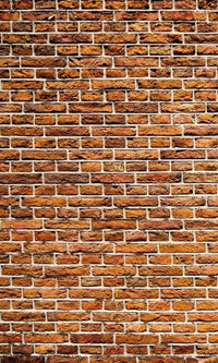 Dimex Old Brick Fototapete 150x250cm 2 Bahnen | Yourdecoration.de
