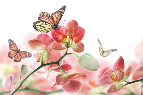 Dimex Orchids and Butterfly Fototapete 375x250cm 5 Bahnen | Yourdecoration.de