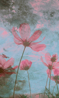 Dimex Pink Flower Abstract Fototapete 150x250cm 2 bahnen | Yourdecoration.de