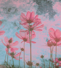 Dimex Pink Flower Abstract Fototapete 225x250cm 3 bahnen | Yourdecoration.de