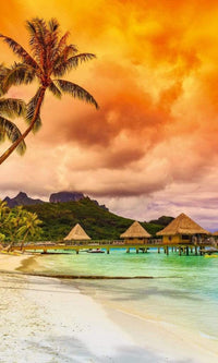 Dimex Polynesia Fototapete 150x250cm 2 Bahnen | Yourdecoration.de