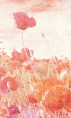 Dimex Poppies Abstract Fototapete 150x250cm 2 bahnen | Yourdecoration.de