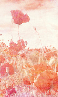 Dimex Poppies Abstract Fototapete 150x250cm 2 bahnen | Yourdecoration.de