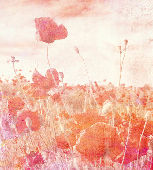 Dimex Poppies Abstract Fototapete 225x250cm 3 bahnen | Yourdecoration.de