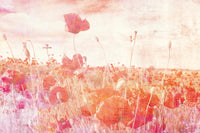 Dimex Poppies Abstract Fototapete 375x250cm 5 bahnen | Yourdecoration.de