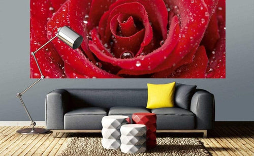 Dimex Red Rose Fototapete 375x150cm 5 Bahnen Sfeer | Yourdecoration.de