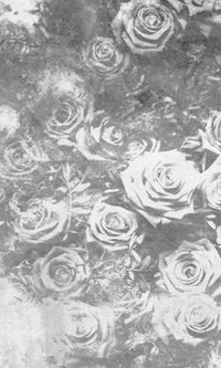 Dimex Roses Abstract II Fototapete 150x250cm 2 bahnen | Yourdecoration.de