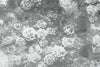Dimex Roses Abstract II Fototapete 375x250cm 5 bahnen | Yourdecoration.de