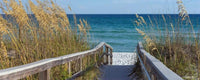 Dimex Sandy Boardwalk Fototapete 375x150cm 5 Bahnen | Yourdecoration.de