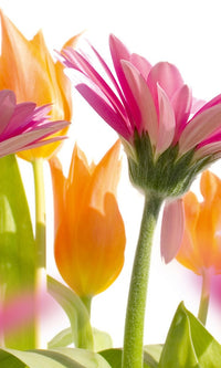 Dimex Spring Flowers Fototapete 150x250cm 2 Bahnen | Yourdecoration.de
