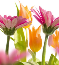 Dimex Spring Flowers Fototapete 225x250cm 3 Bahnen | Yourdecoration.de
