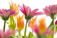 Dimex Spring Flowers Fototapete 375x250cm 5 Bahnen | Yourdecoration.de