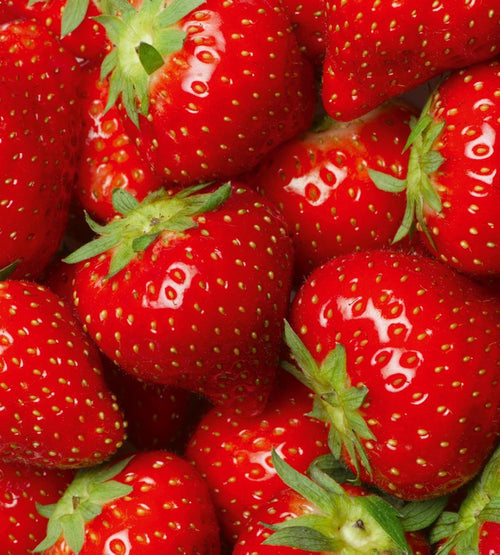 Dimex Strawberry Fototapete 225x250cm 3 Bahnen | Yourdecoration.de