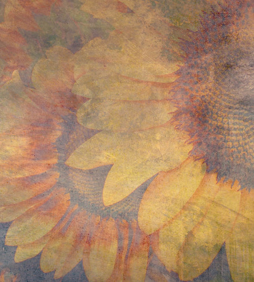 Dimex Sunflower Abstract Fototapete 225x250cm 3 bahnen | Yourdecoration.de