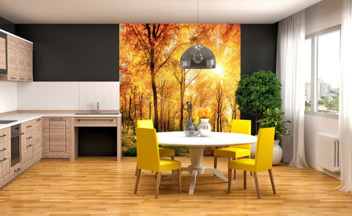 Dimex Sunny Forest Fototapete 225x250cm 3 Bahnen Interieur | Yourdecoration.de