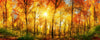 Dimex Sunny Forest Fototapete 375x150cm 5 Bahnen | Yourdecoration.de