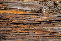 Dimex Tree Bark Fototapete 375x250cm 5 Bahnen | Yourdecoration.de