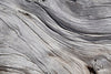 Dimex Tree Textur Fototapete 375x250cm 5 Bahnen | Yourdecoration.de
